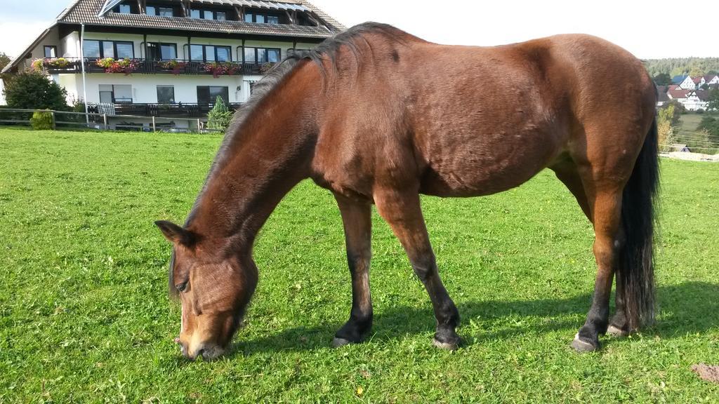 Landpension Pferdekoppel - Self Checkin Seewald